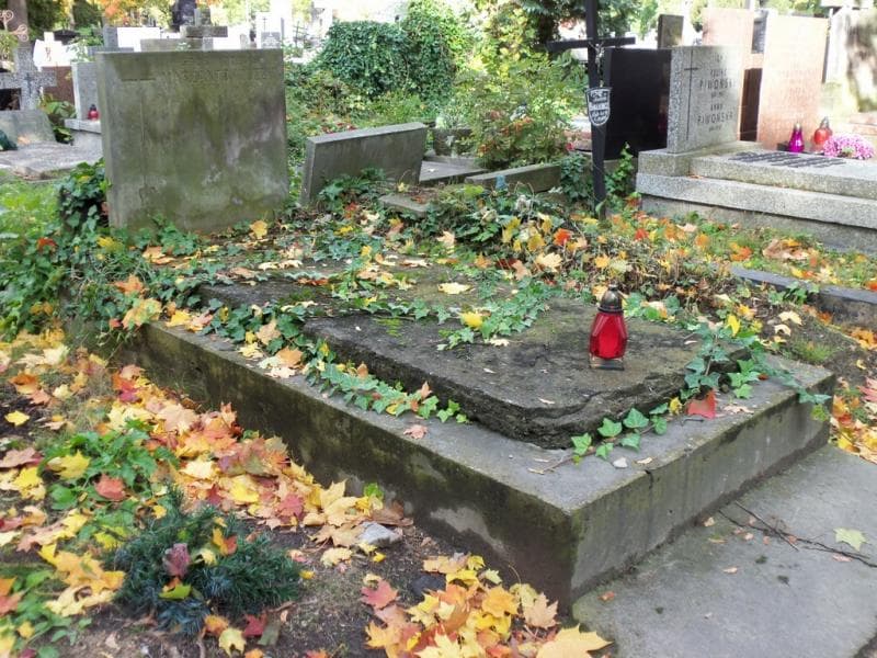 Zdjęcie grobu Marzantowiczowie (1)