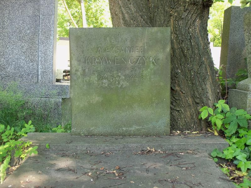 Zdjęcie grobu Aleksander Kryweńczyk (2)