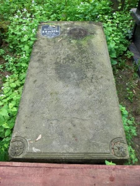 Zdjęcie grobu Elżbieta Heins (2)