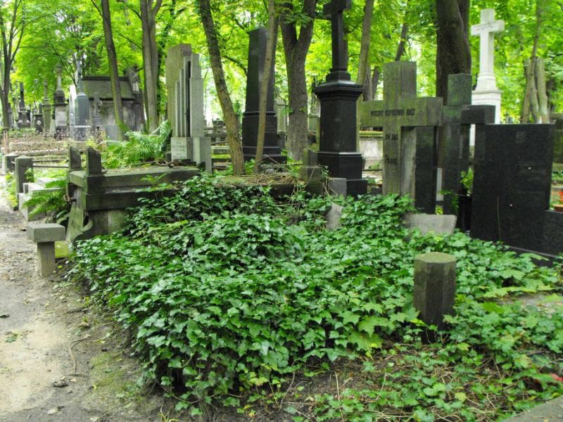 Zdjęcie grobu Joanna Ankowska (1)