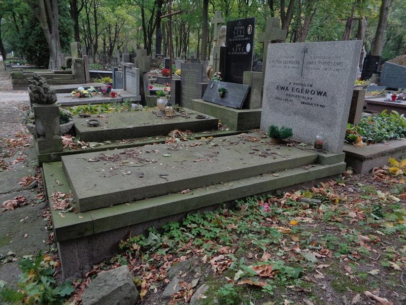 Zdjęcie grobu: Wanda Brendowa