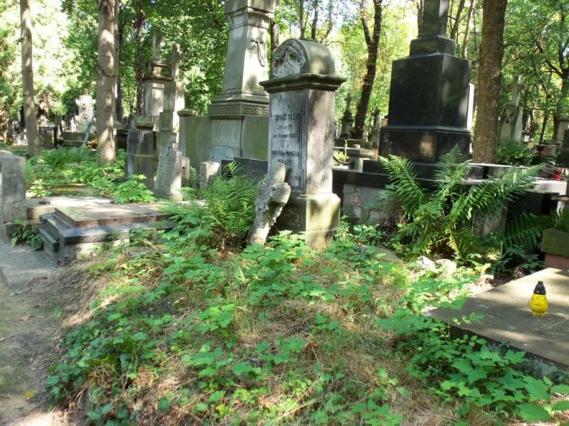 Zdjęcie grobu Eleonora Malik (1)