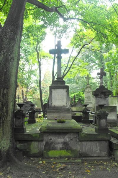 Zdjęcie grobu: Kazimierz Włodkowski