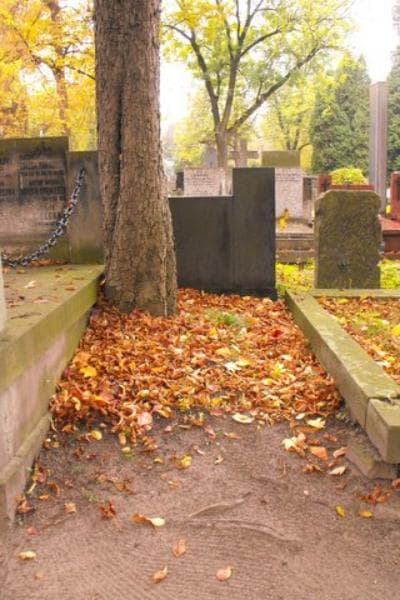 Zdjęcie grobu: Pole Grobowe