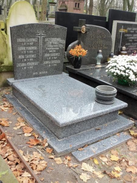 Zdjęcie grobu Ludwik Perkowski (1)
