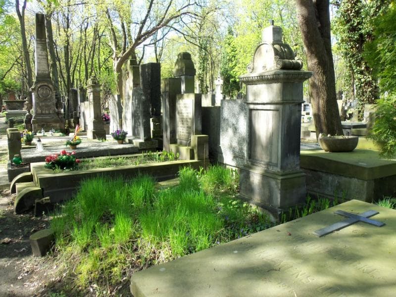 Zdjęcie grobu Edward Dworzaczek (1)