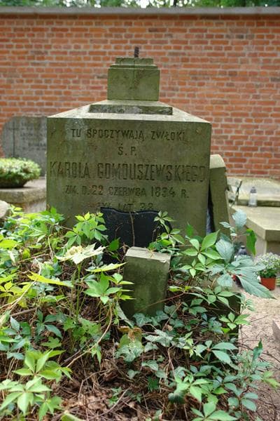 Zdjęcie grobu Karol Gomoliszewski (2)