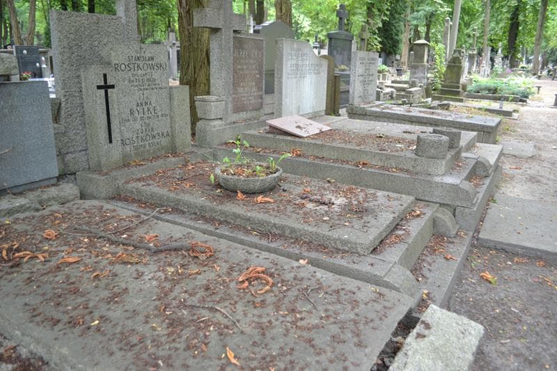 Zdjęcie grobu: Anna Rylke