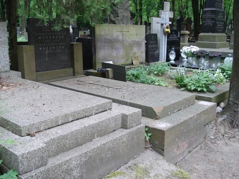 Zdjęcie grobu: Ludomir Wąsowski