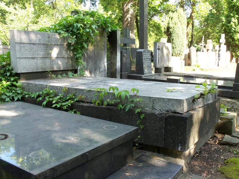 Zdjęcie grobu Robert Lambert Grzędzielski (1)
