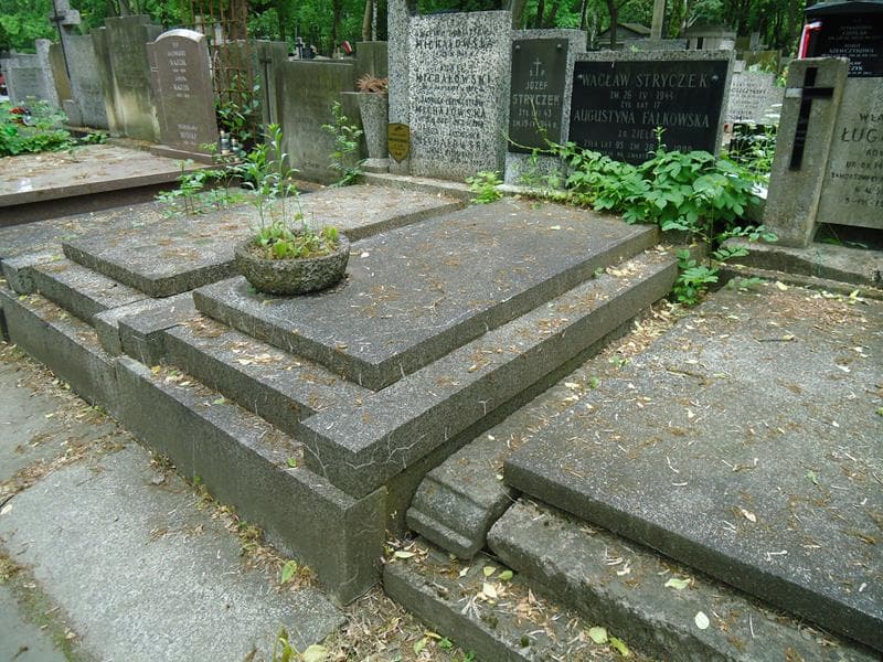 Zdjęcie grobu Józef Stryczek (1)