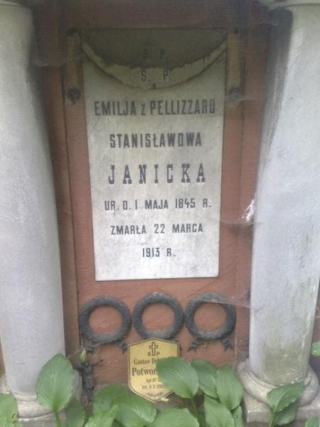 Zdjęcie grobu Konstanty Janicki (2)