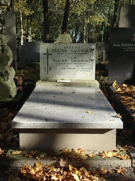 Zdjęcie grobu: Jan Plater-Gajewski