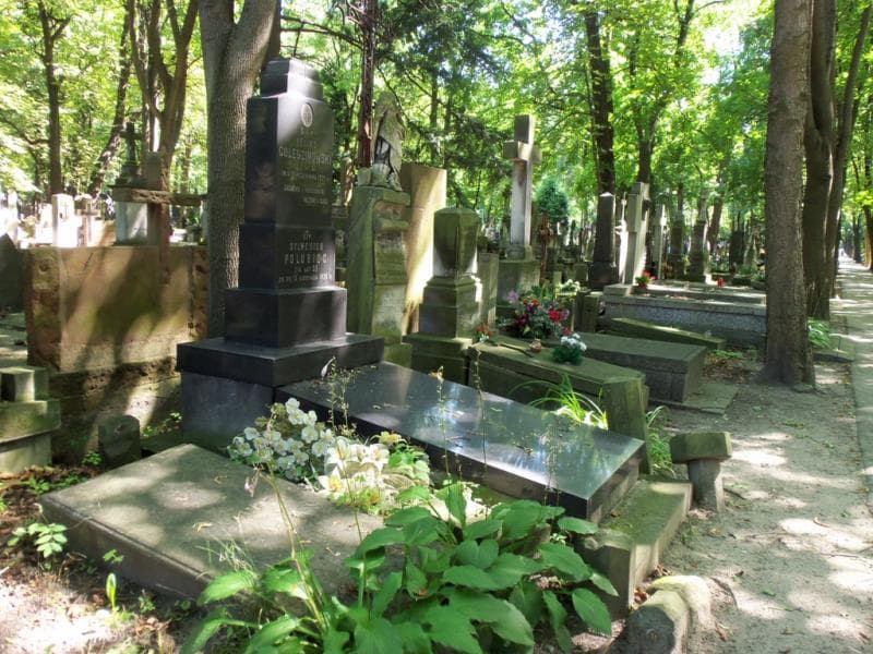 Zdjęcie grobu Feliks Golędzinowski (2)