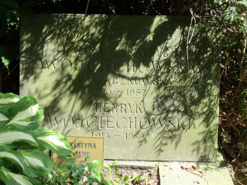 Zdjęcie grobu Henryk Woyciechowski (2)