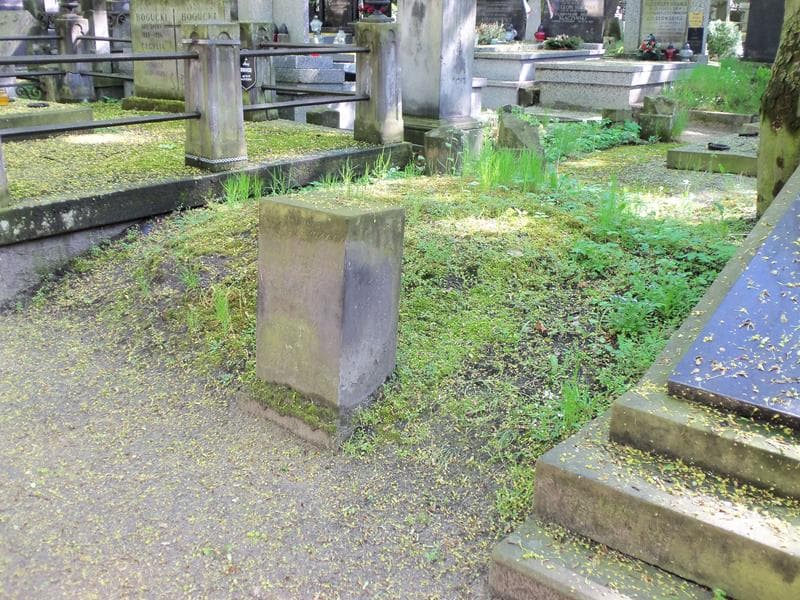 Zdjęcie grobu Teofila Czarnecka (1)