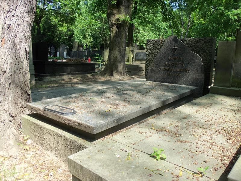 Zdjęcie grobu Maria Cywińska (1)