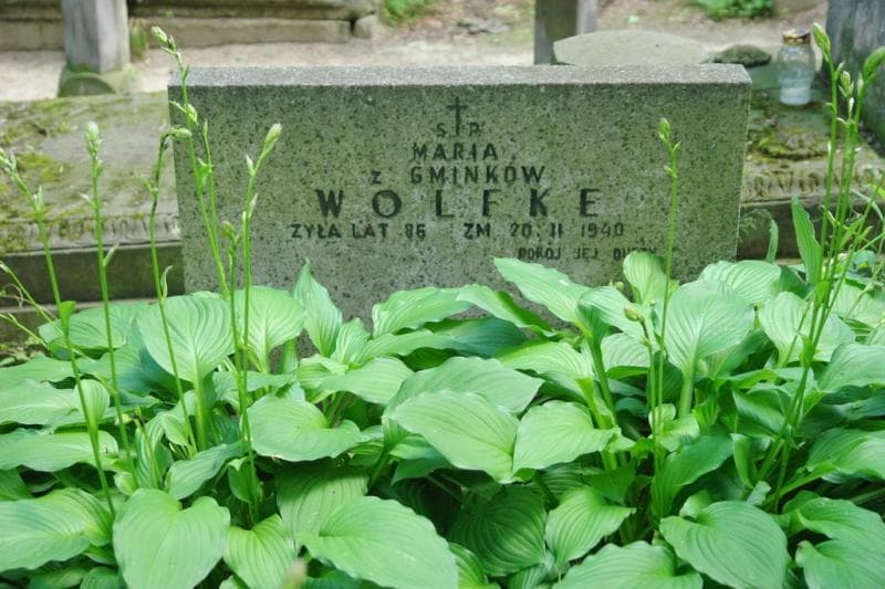 Zdjęcie grobu Maria Wolfke (2)