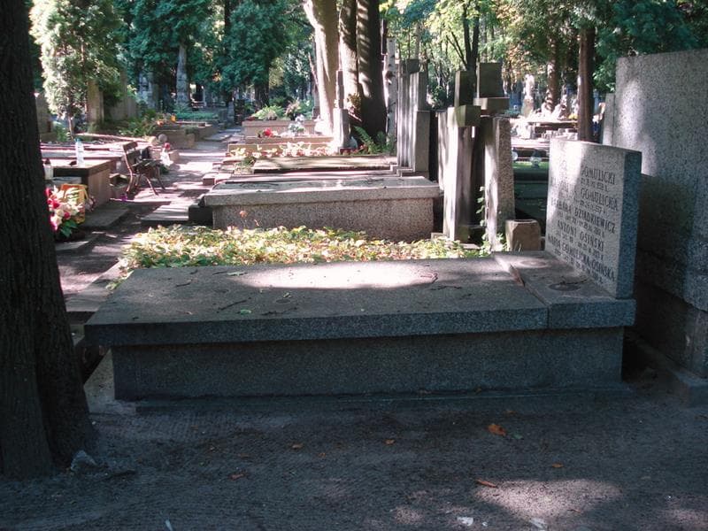 Zdjęcie grobu: Wacław Gomulicki