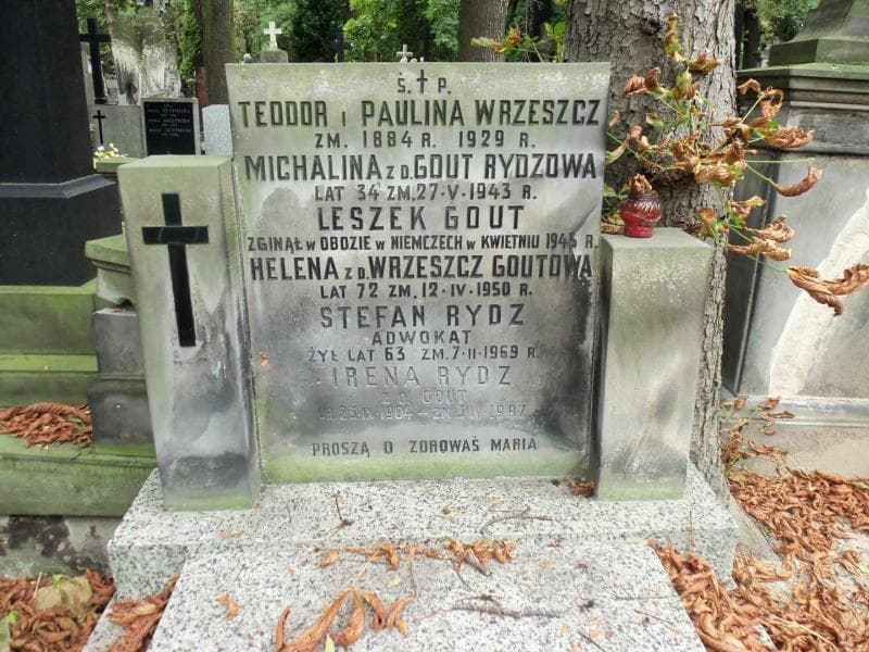 Zdjęcie grobu Helena Goutowa (2)