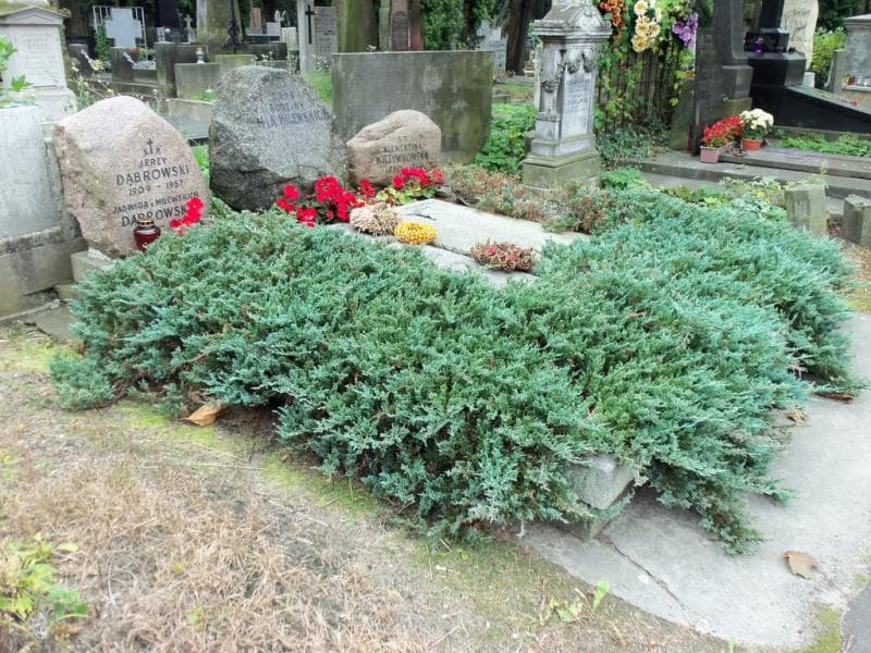 Zdjęcie grobu Jerzy Dąbrowski (1)