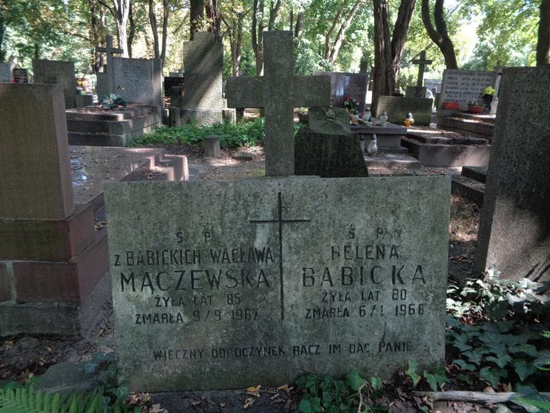 Zdjęcie grobu Helena Babicka (2)