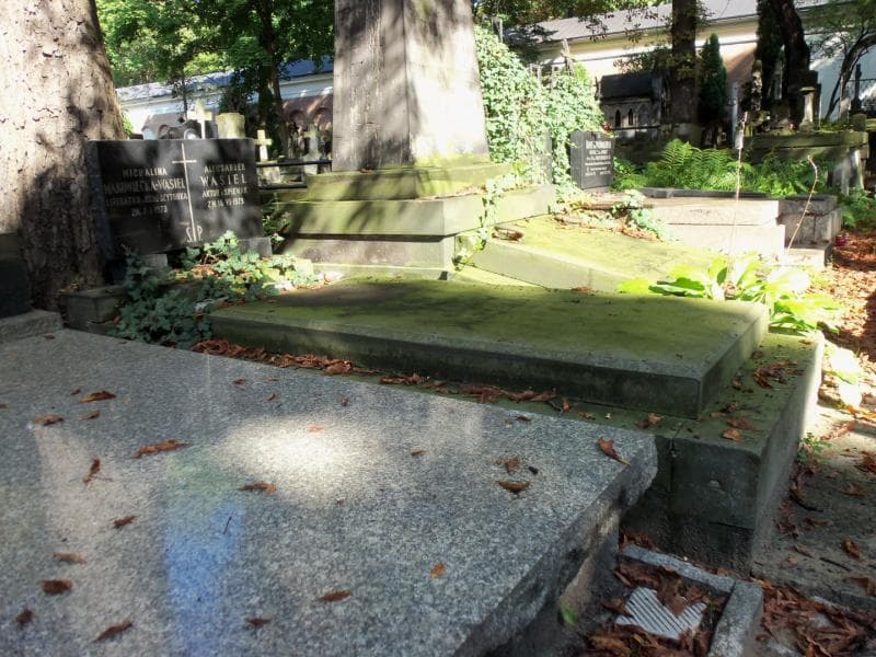 Zdjęcie grobu Aleksander Wasiel (1)