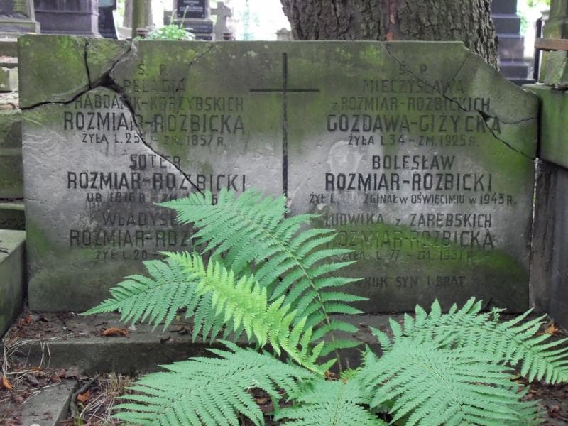 Zdjęcie grobu Mieczysława Gozdawa-Giżycka (1)