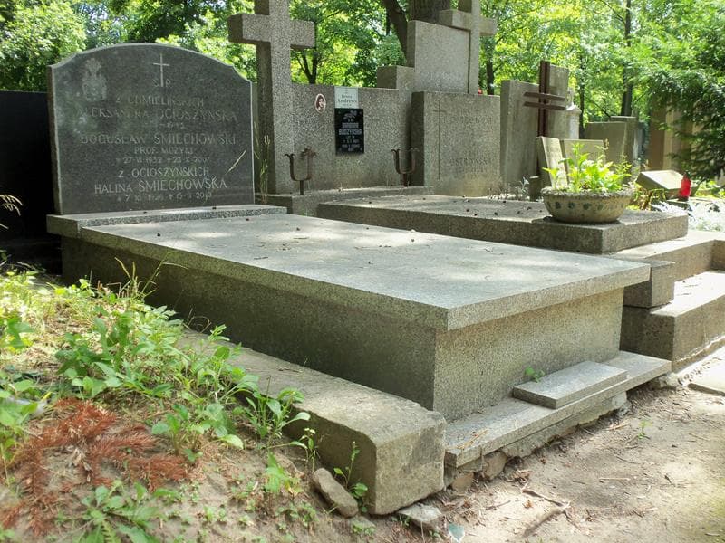 Zdjęcie grobu Aleksandra Ocioszyńska (1)