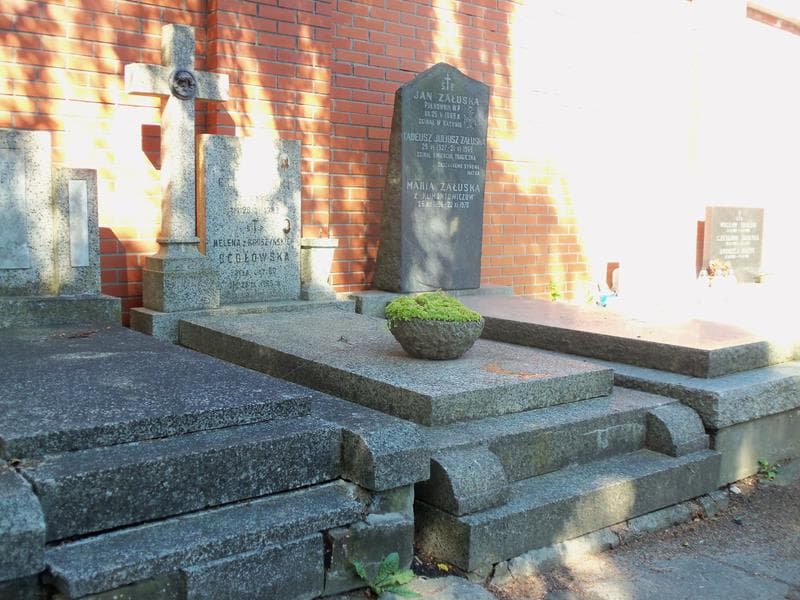 Zdjęcie grobu Helena Cegłowska (1)