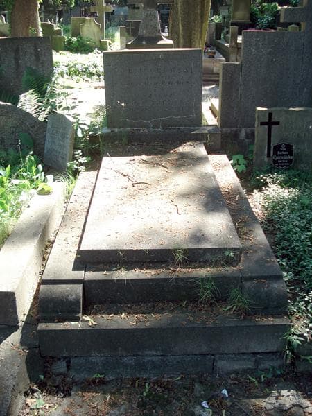 Zdjęcie grobu: Helena Przedpełska