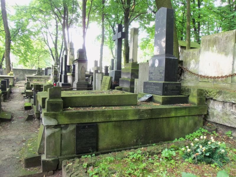 Zdjęcie grobu Paulina Rościszewska (1)