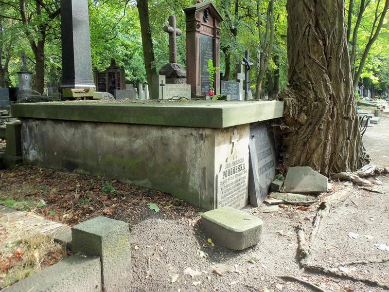 Zdjęcie grobu Józefa Podgórska (1)