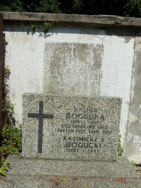 Zdjęcie grobu Karol Bolecki (2)