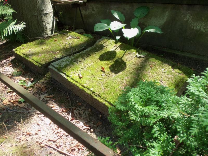 Zdjęcie grobu Franciszek Orłowski (2)