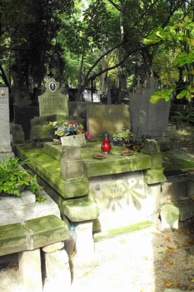 Zdjęcie grobu: Juljan Zdziemborski