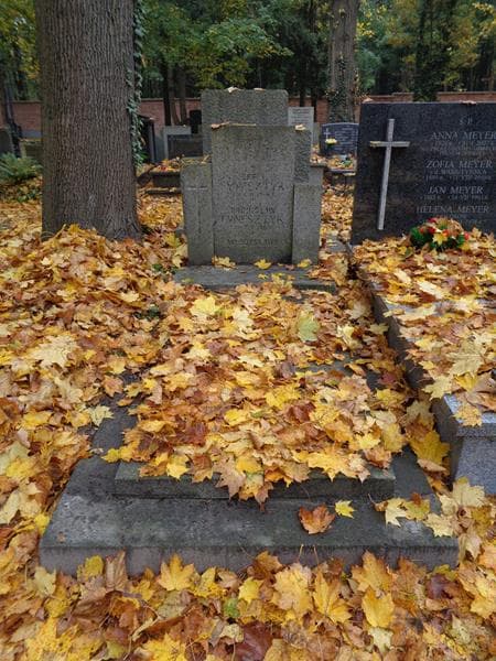 Zdjęcie grobu Ludwik Fynfsztyk (1)