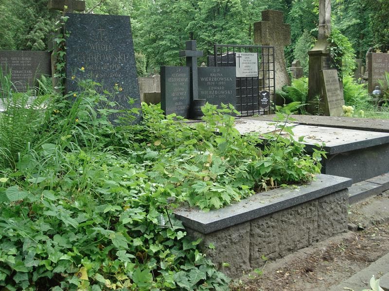 Zdjęcie grobu Witold Cedrowski (1)