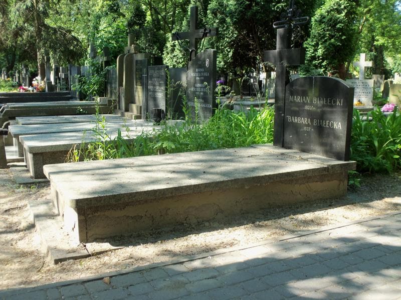 Zdjęcie grobu Białeccy (1)