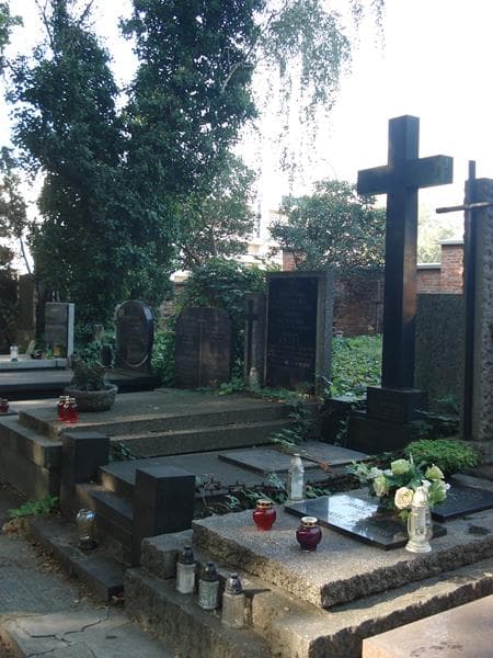 Zdjęcie grobu: Franciszek Szczepankowski