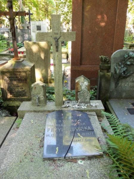Zdjęcie grobu Kalina Przyborowska (2)