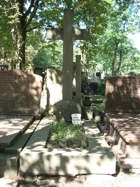 Zdjęcie grobu: Jan Puczyński