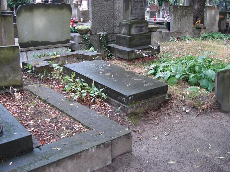 Zdjęcie grobu Rudolf Hermelin (2)