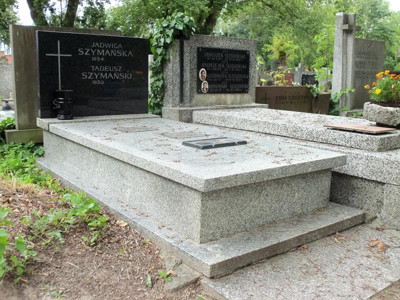 Zdjęcie grobu Józefa Bartosik (1)