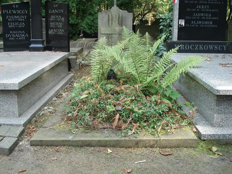 Zdjęcie grobu: Stanisława Alpińska