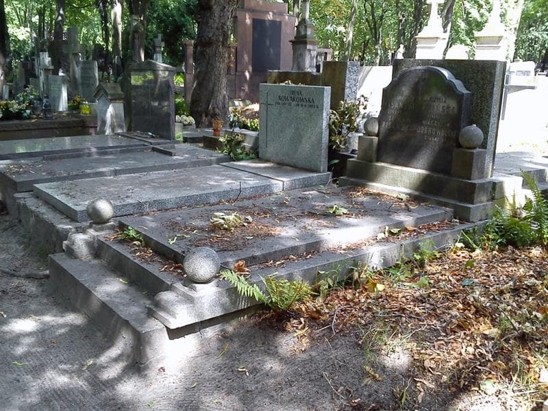 Zdjęcie grobu: Zygmunt Pisański