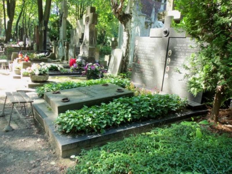 Zdjęcie grobu Feliks Mędrek (1)