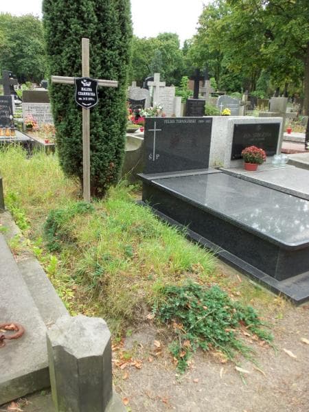 Zdjęcie grobu Halina Czarnecka (1)