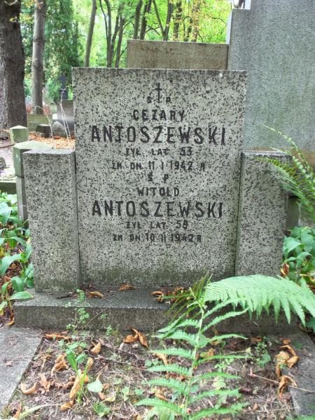 Zdjęcie grobu Witold Antoszewski (2)