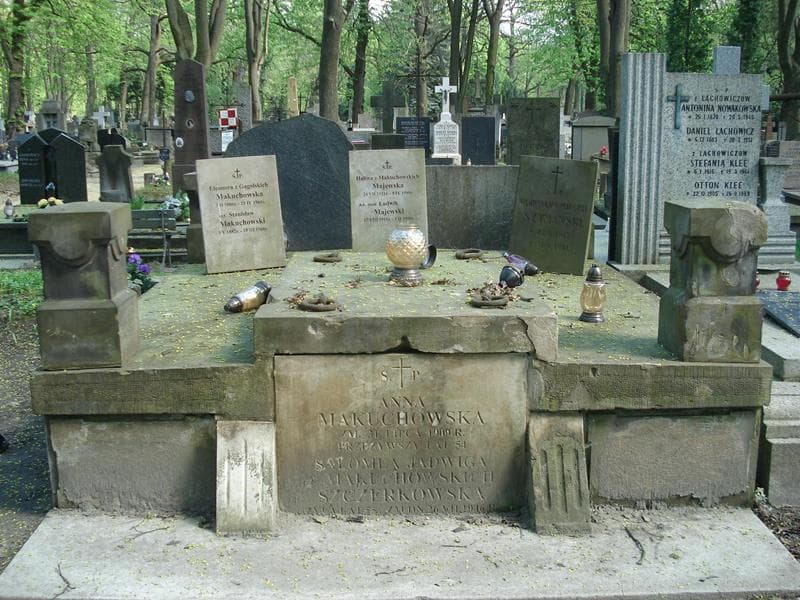 Zdjęcie grobu: Ludwik Majewski